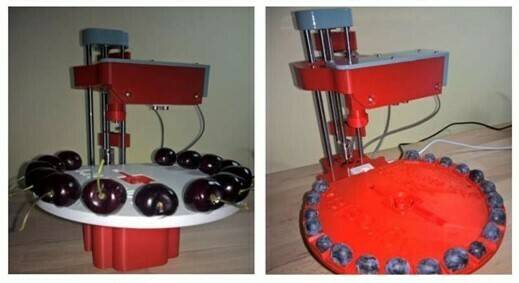 Agrosta winterwood|18718